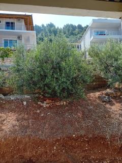 Fotula's House 4 - Vlora - 9