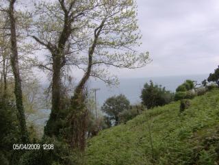 Διαμέρισμα 25τμ Στον Άγιο Ιωάννη, Πήλιο ΑΙR CONDITION - Agios Ioannis Pelio - 9