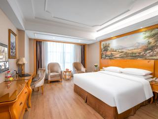 Vienna International Hotel Changsha BBK Meixi Xintiandi Branch - Changsha - 5