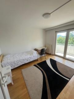 Monteurzimmer oder WG Zimmervermietung in traumhafter Lage - Laufenburg - 3