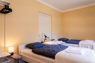 Elephant guesthouse - 9