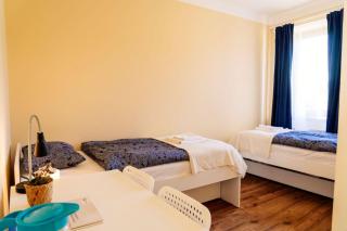 Elephant guesthouse - 4