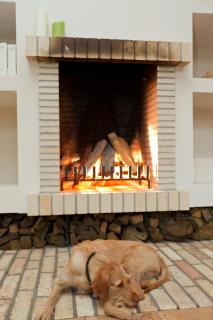 Spacious Apartment With Terrace And Garden View - Walow - 7