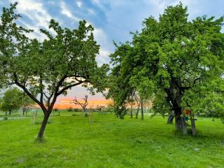 Spacious Apartment With Terrace And Garden View - Walow - 0