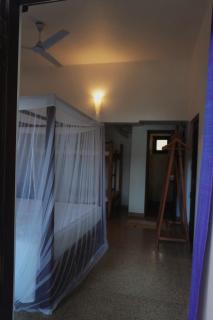 Gecko Restaurant & Rooms - Arugam Bay - 3