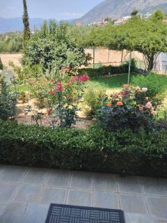 Gioulas home sea view - Mírton - 5