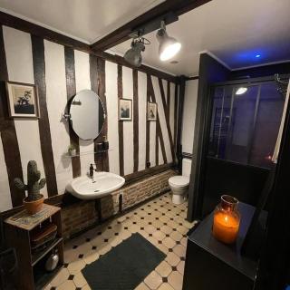 La Chaumière aux Animaux - Touffreville-la-Corbeline - 3