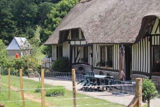 La Chaumière aux Animaux - Touffreville-la-Corbeline - 9