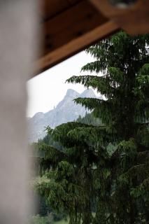 Gasthof Schöntal - Werfenweng - 0
