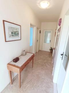 Apartment Magnolia - Supetar (San Pietro di Brazza) - 1