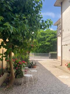 B&B L'Airone - Nogara - 5