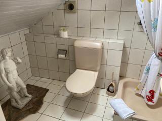 Hotel Scaletta - Locarno - 4