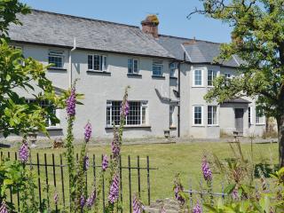 Conifers - South Molton - 0