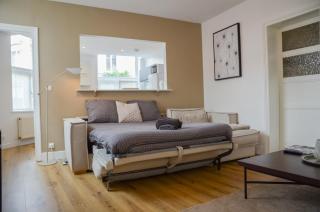 Centre ville, Gare 600m, Prox Lille, Lit King size - 8