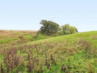 The Old Chapel - Hury - 8