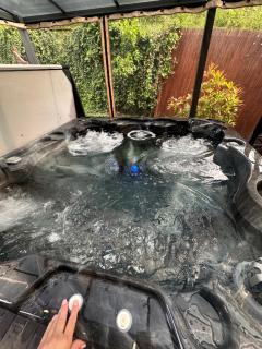 Domki Miśków - Międzyzdroje - 8