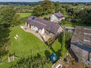 Kite Cottage - Capel-Ifan - 0