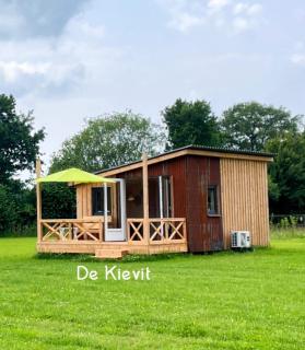 Tussen de Wilgen - De Vecht - 7