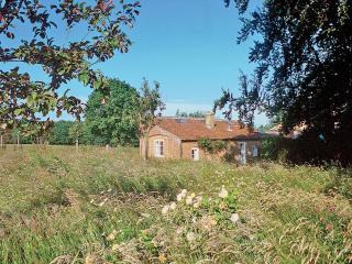 Deer Park Cottage - E2754 - Thorpe Market - 9
