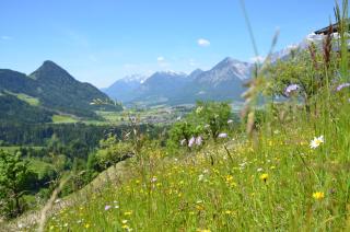 Hotel & Alpengasthof Pinzgerhof - Reith im Alpbachtal - 9