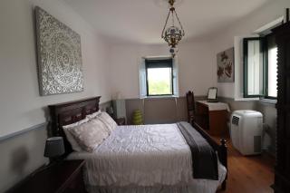 EXCLUSIVE Luxury Bed and breakfast in Tabua Traditional Portuguese Farmhouse - - 4