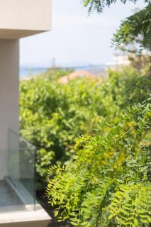 Balance Suite - Kourouta - 1