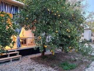 Citrrus bungalo 5 km to see - Bahtılı - 5