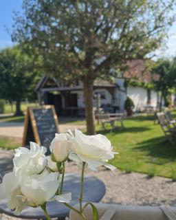 Boutique B&B Droomkerke - Ruiselede - 3