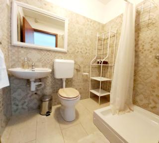 Olive tree - 8