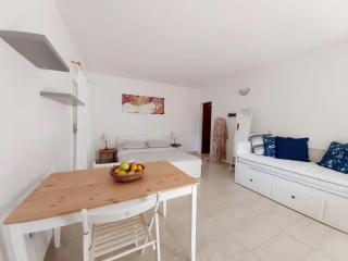 Olive tree - Murter - 6