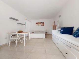 Olive tree - 5