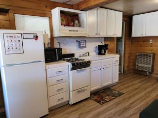 Castaways Cottage on Croton Pond #1 - Newaygo - 7