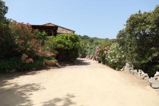Rez de villa Corse du Sud - Porto Vecchio - 9
