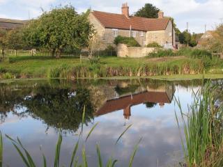 Old Orchard Cottage - Haydon - 8