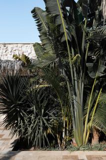 Hotel Anilevich Mansion - Beer Sheva - 6