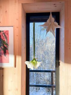 Perfect Location By The Forest Edge In Oslo - Oslo - 5