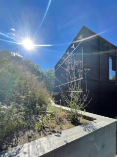 Perfect Location By The Forest Edge In Oslo - Oslo - 2
