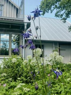 Timber-Framed House With Organic Farm In Nature - Stehag - 1