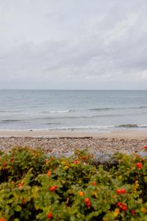 Enjoy The Sound Of Crashing Waves And Ocean Views - Græsted - 1