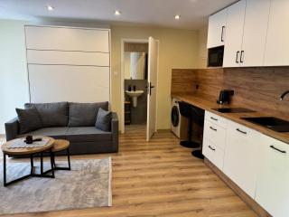 Apartament i Pokoje Gościnne u Lusi - BASEN z podgrzewaną wodą - Wisła - 0