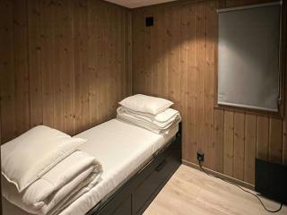 Panoramic Cabin At Fulufjellet With Ski In Ski Out - Ljørdalen - 2