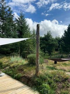 Black Wooden House In Scenic Surroundings - Blokhus - 4