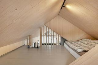 Modern Cabin In Harmony With Nature - 1