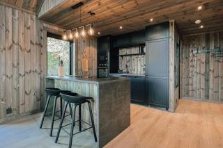 Modern Mountain Cabin Near Syningtoppen - Torpo - 6