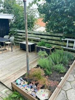 Beachfront Holiday Home Near Dalby Bay - Mesinge - 5