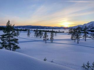 High-Standard Cabin In Beautiful Rauland - Rauland - 4