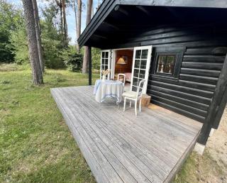 Charming Log House In Asserbo's Nature - 3