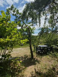 Simple Cottage With Access To Beach And Heathland - 1