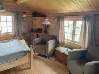 Cozy, Magical Mountain Cabin With Trails - Etnedal - 6