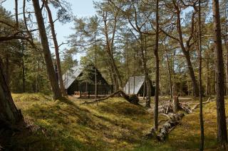 Elegant Designed A-Frame House On Bornholm - Neksø - 4